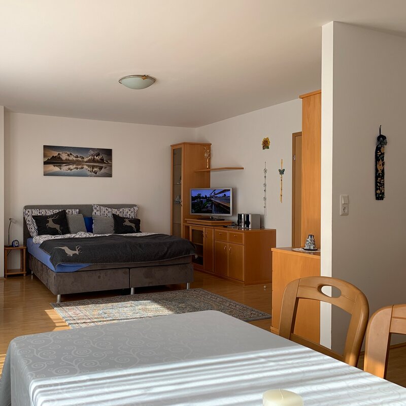 Dining Living-Sleeping Area Oak