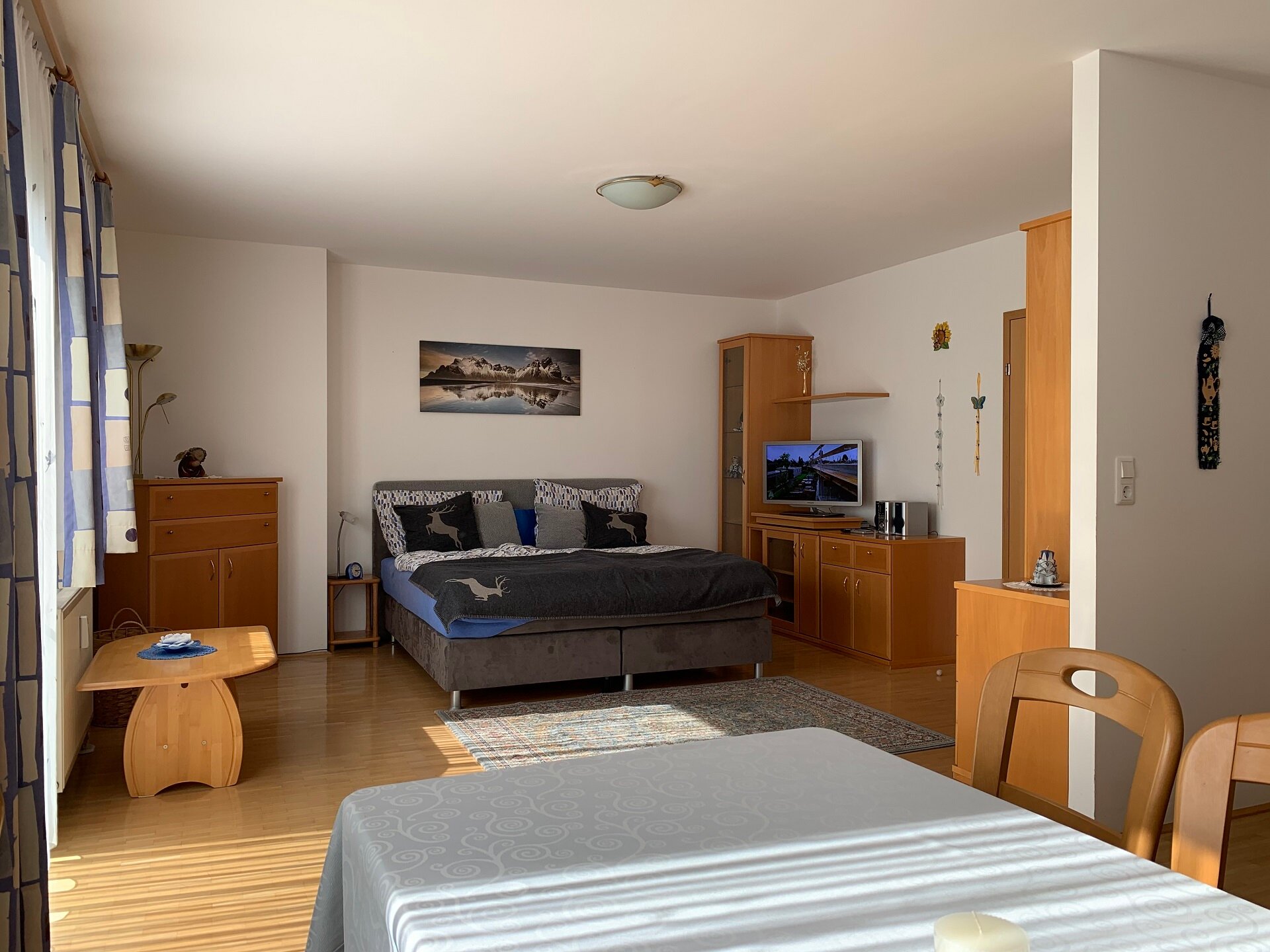 Dining Living-Sleeping Area Oak