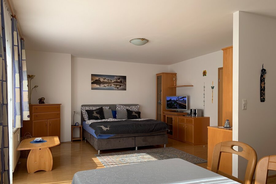 Dining Living-Sleeping Area Oak