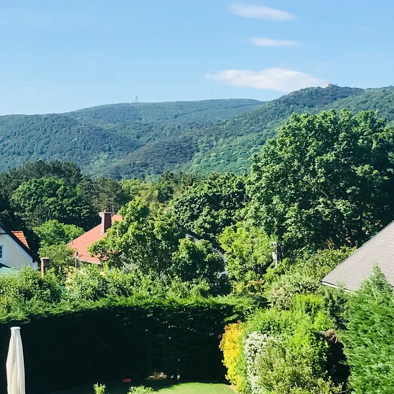 Wohnung mit tollem Ausblick