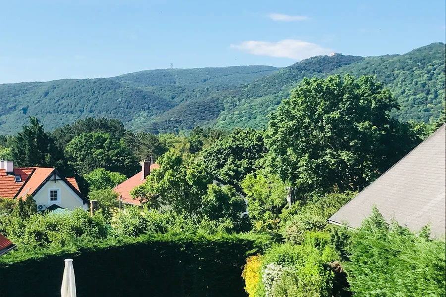 Wohnung mit tollem Ausblick