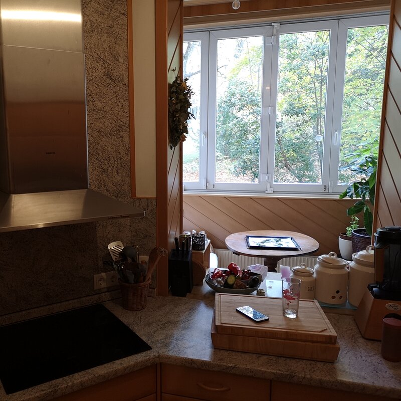 Küche mit Blick ins Grüne