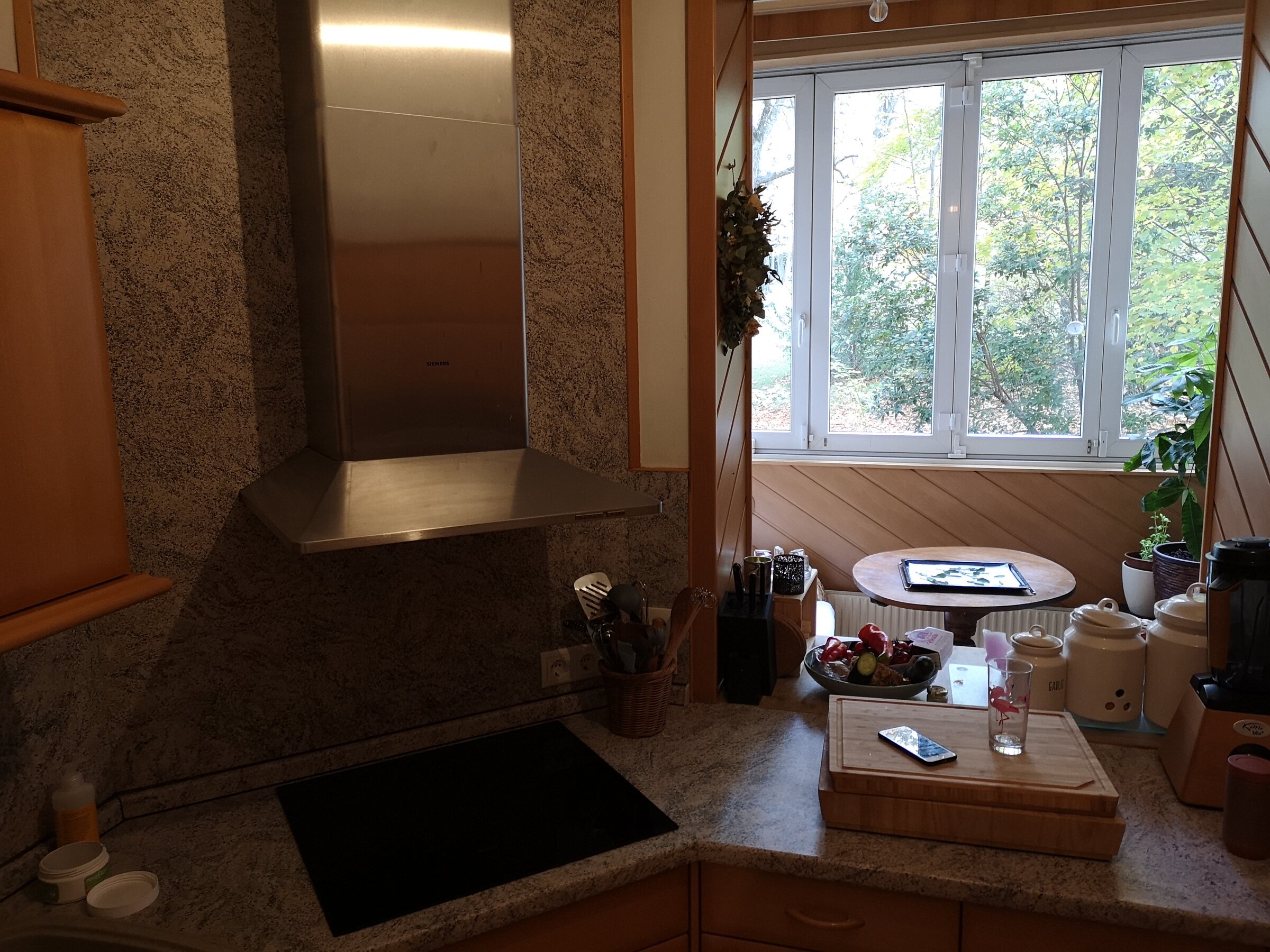 Küche mit Blick ins Grüne