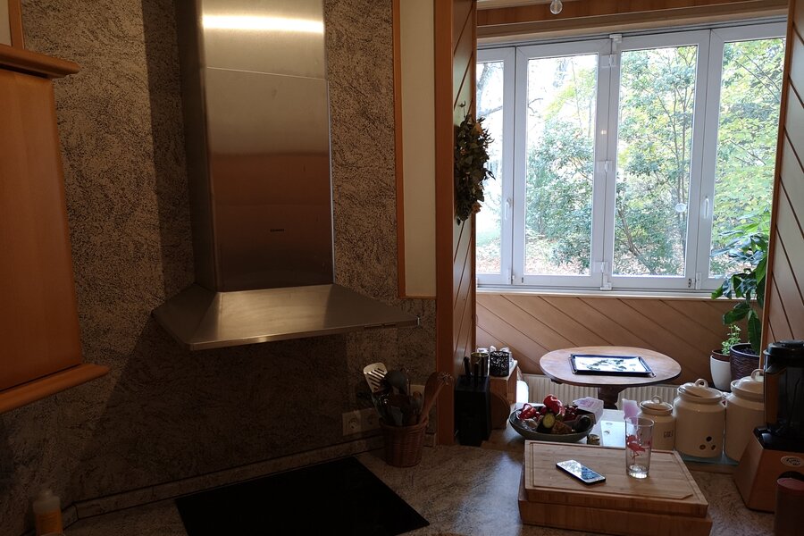 Küche mit Blick ins Grüne