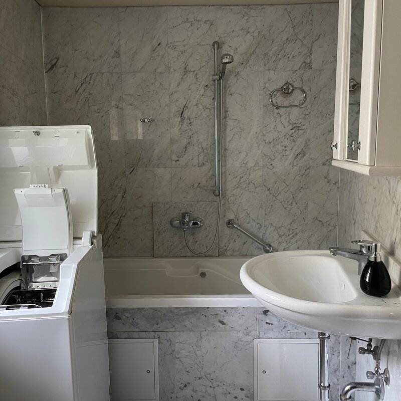 Washing machine with bath and sink