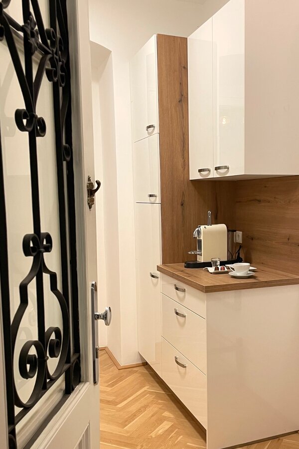 Insight after opening the apartment front door