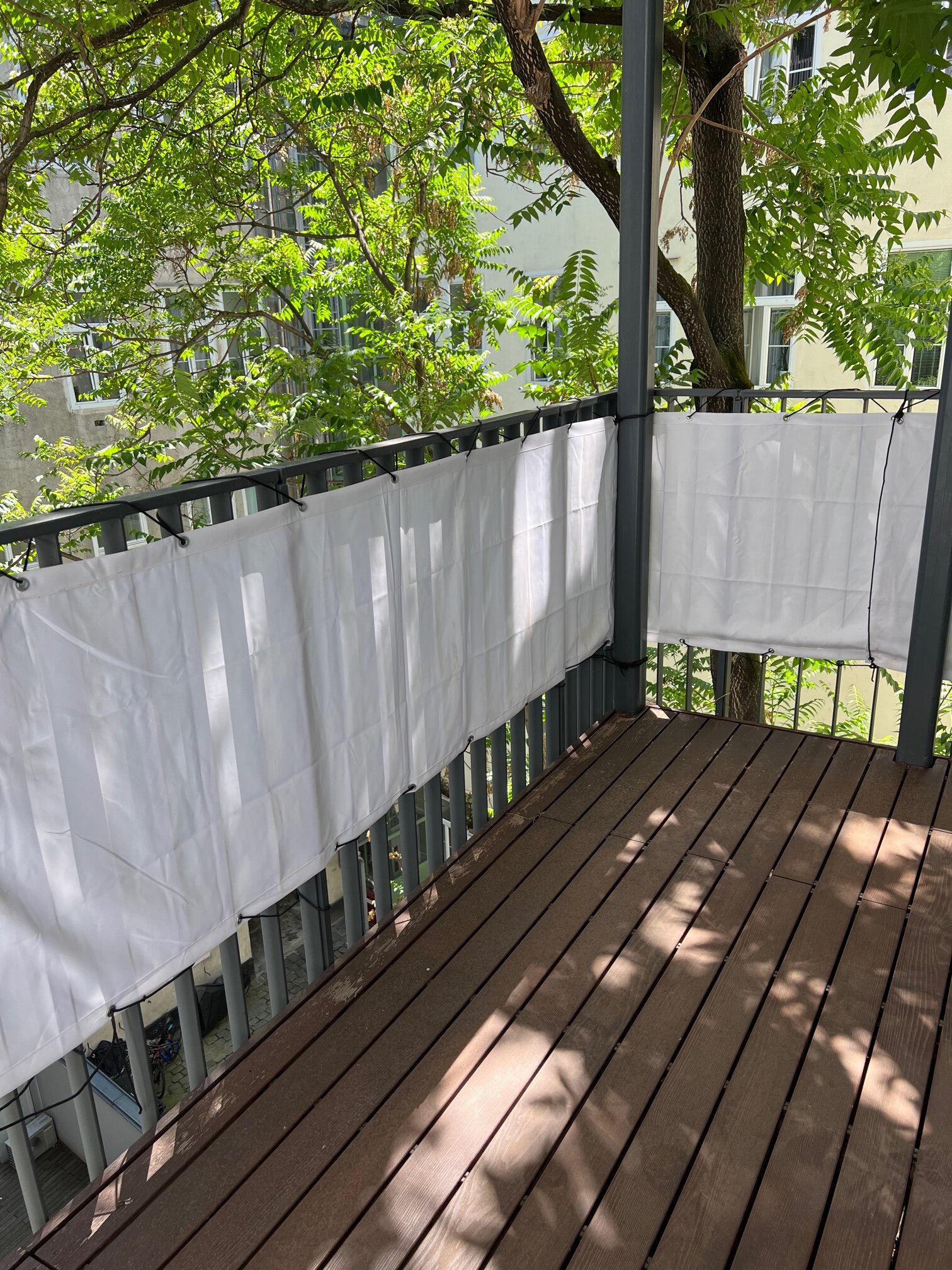 Der Balkon liegt auf der Südseide, halb beschattet unter einem Götterbaum | © Jeanne Szilit