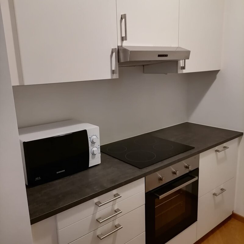 Küchenzeile links mit Oberschränken, Luftabzugshaube, Mikrowelle, Induktionsherd und Unterschränken | © Jeanne Szilit