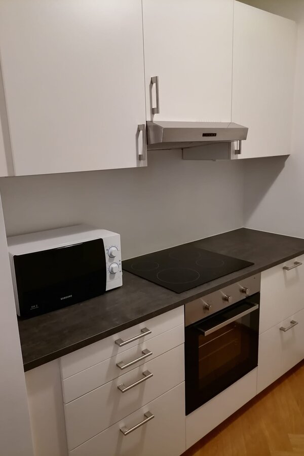 Küchenzeile links mit Oberschränken, Luftabzugshaube, Mikrowelle, Induktionsherd und Unterschränken | © Jeanne Szilit