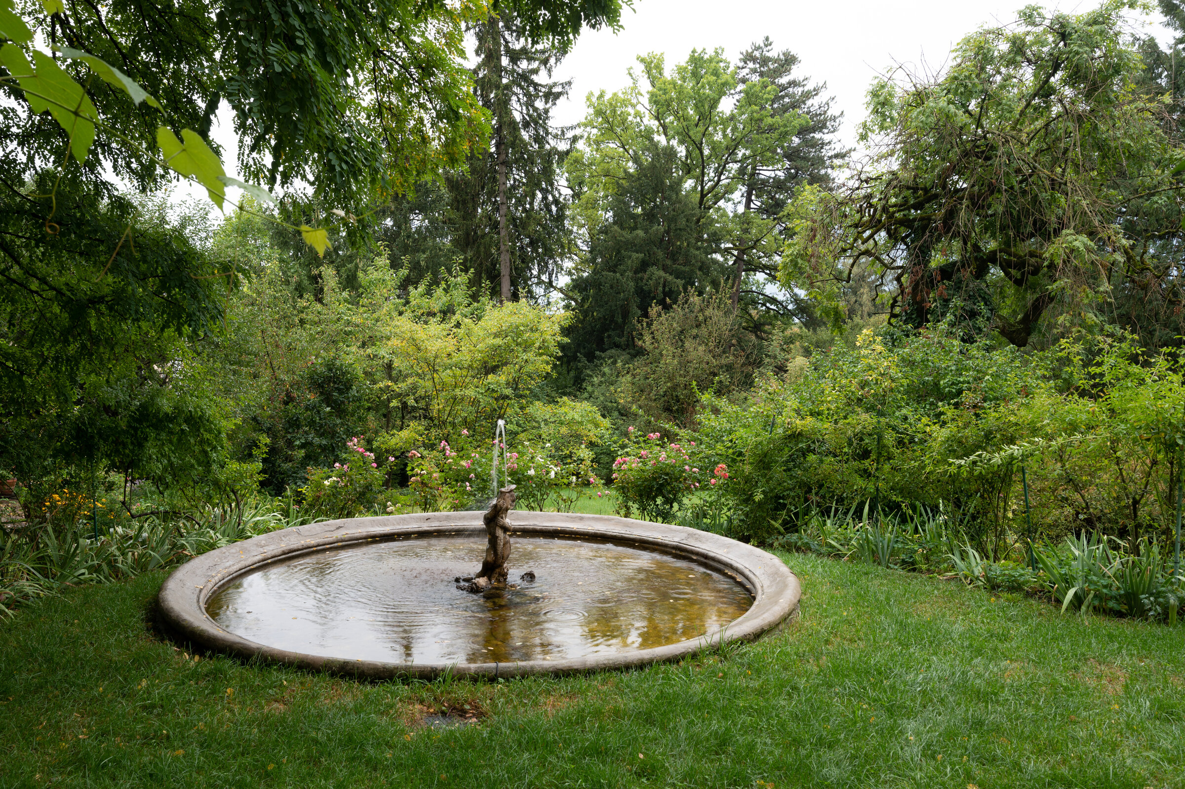 fountain in garden