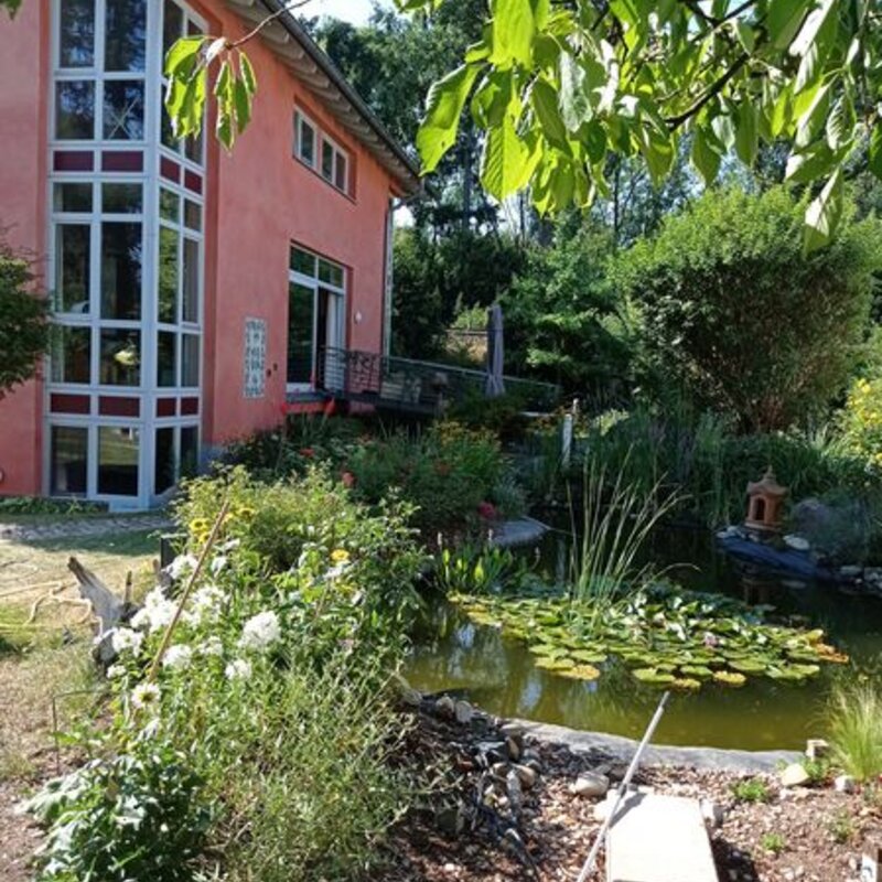 Blick vom Teich aus