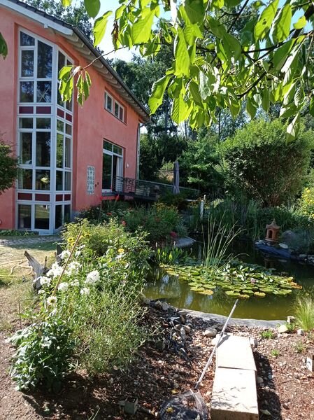 Blick vom Teich aus
