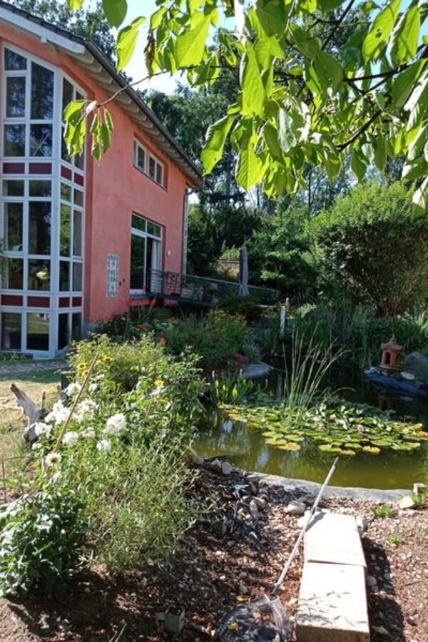 Blick vom Teich aus