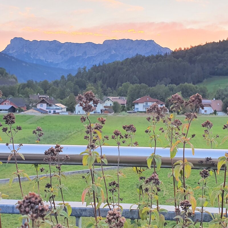 Blick von Dachterasse