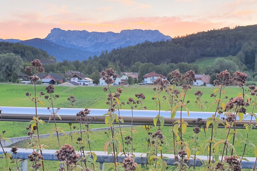 Blick von Dachterasse
